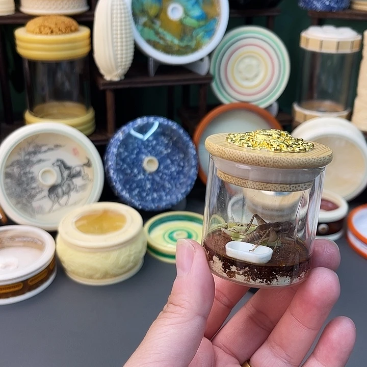 白虫套装啊哈哈哈哈哈哈哈哈