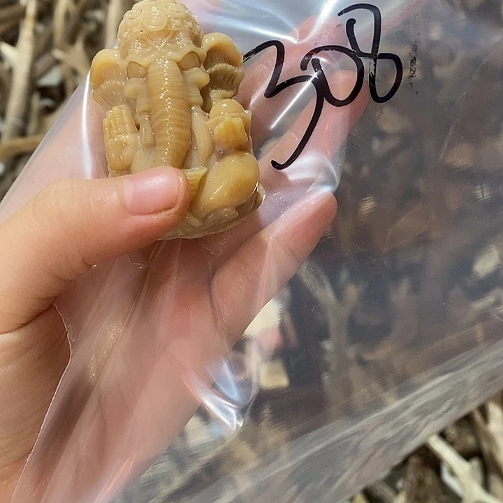 龙***舞鹿角鹿角鹿角鹿角鹿角