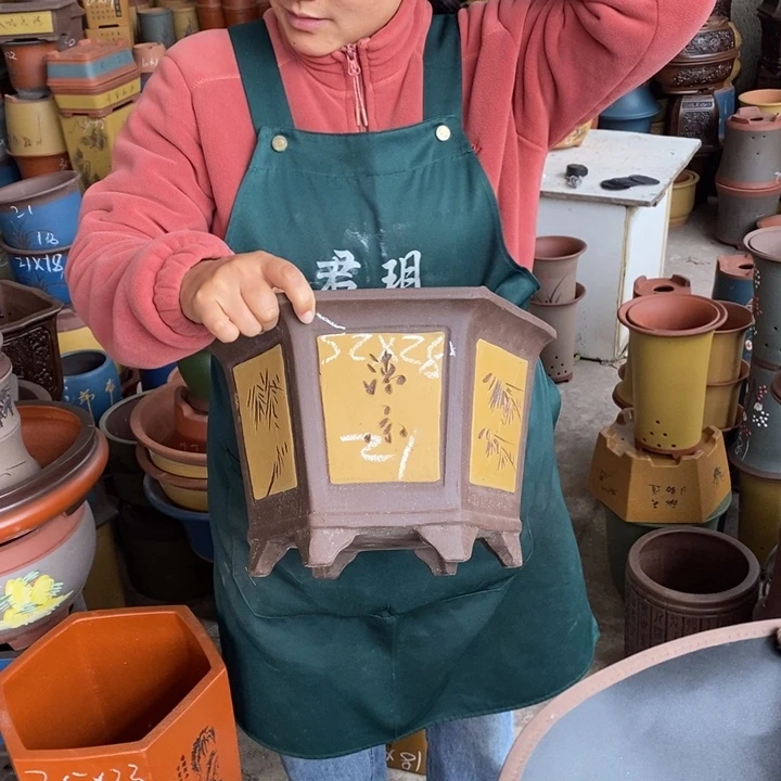 紫砂花盆盆栽花卉苗木种植