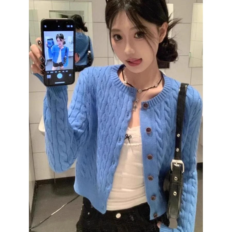 2025早春新款蓝色麻花针织开衫外套女韩系chic百搭软糯长袖短上衣