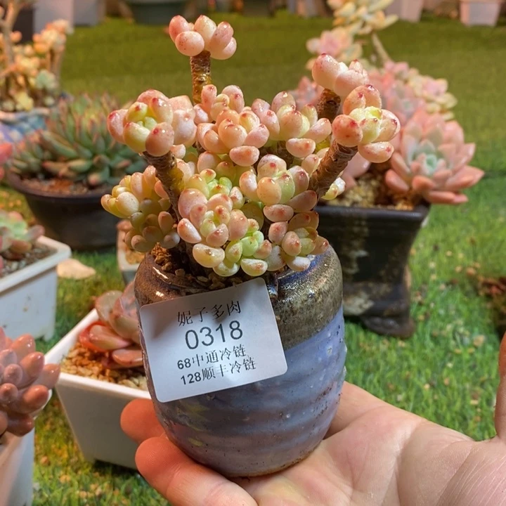 0318啊啊啊啊啊啊啊啊啊啊啊