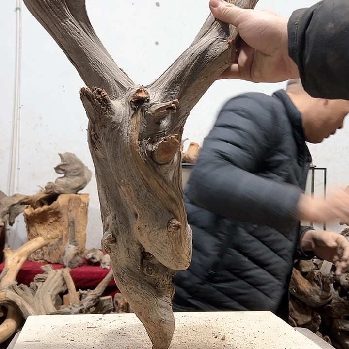 柏木万**云我们的生活也会越来越美好