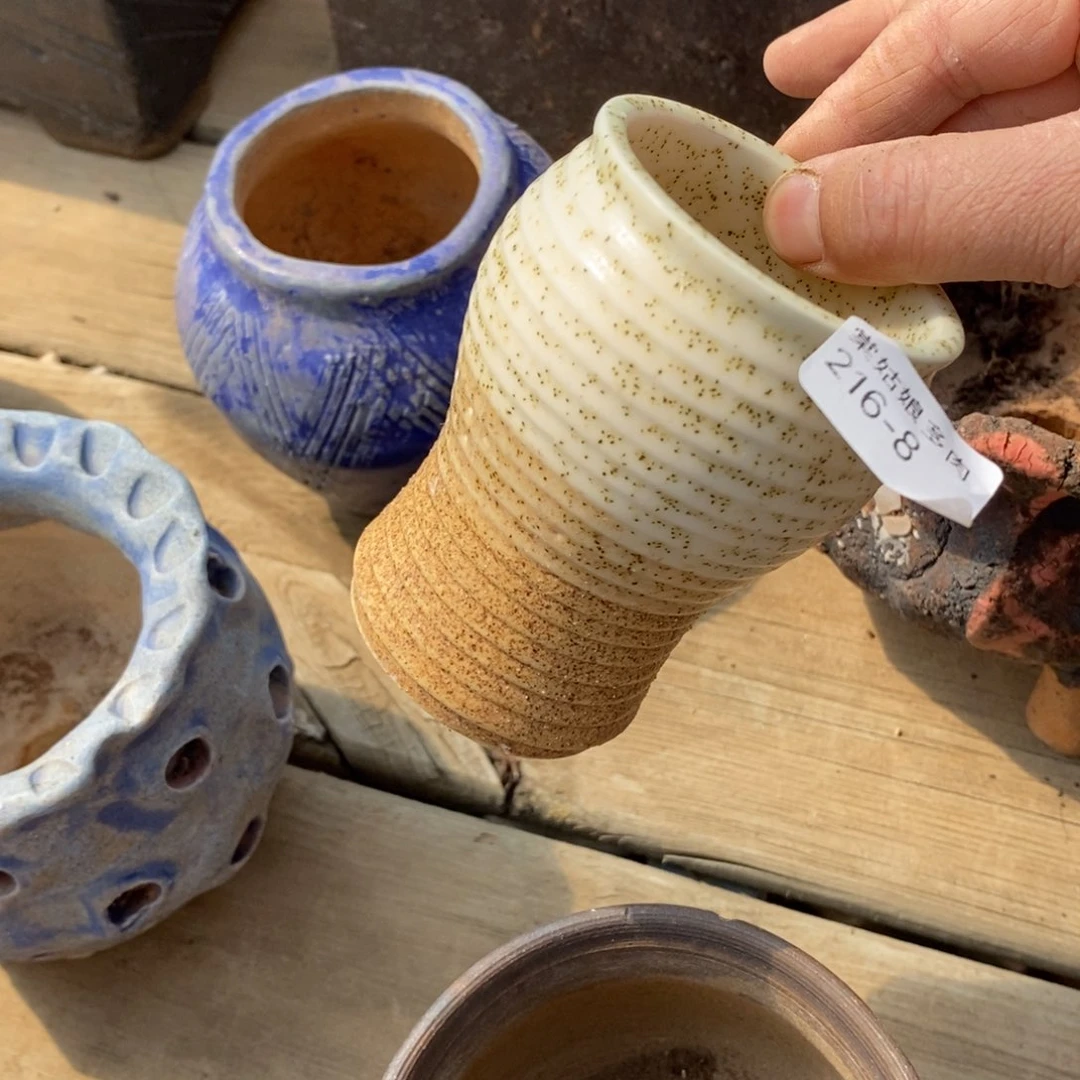 红陶8号多肉盆一个呀