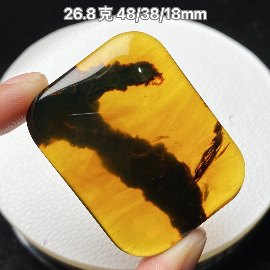 【小伊琥珀】26.8克植物珀牌子