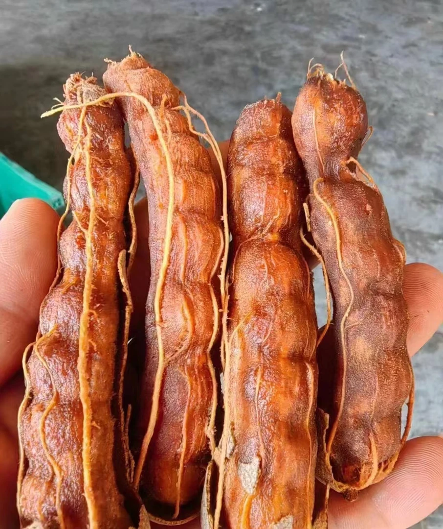 云南特产新鲜甜酸角孕妇高钙酸甜开胃休闲零食无壳酸豆