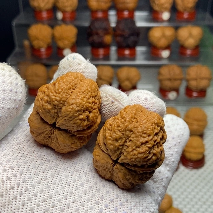 把件文玩核桃古树蚂蚁开背王45