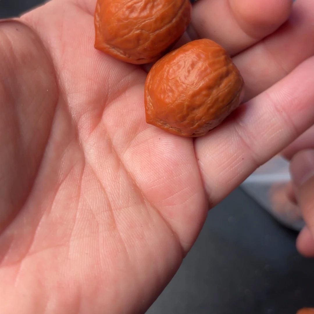 文玩核桃把件88000000