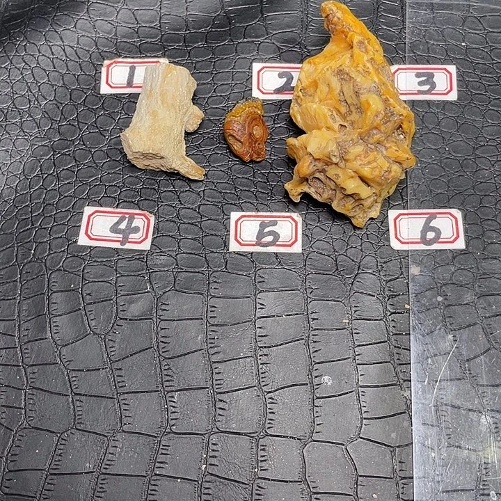 浪***主石材阿拉善戈壁石