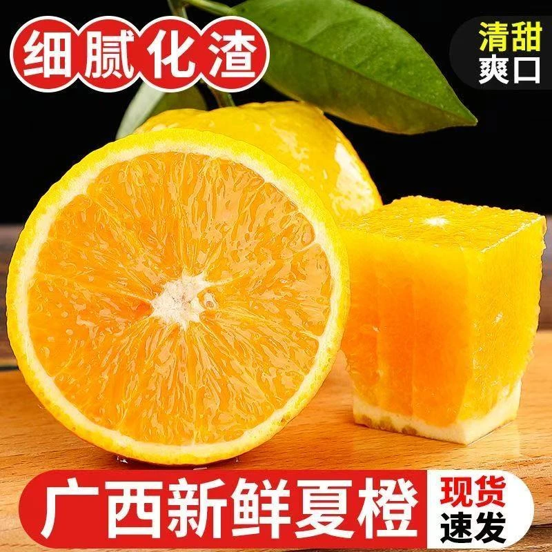 桂林新鲜夏橙果园直发