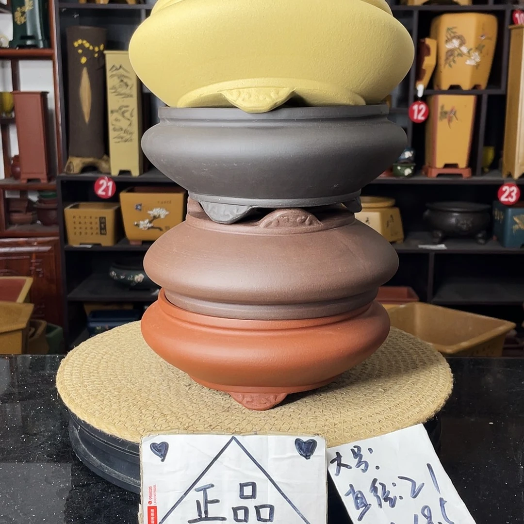 紫砂善上 5 仁 * ^没有