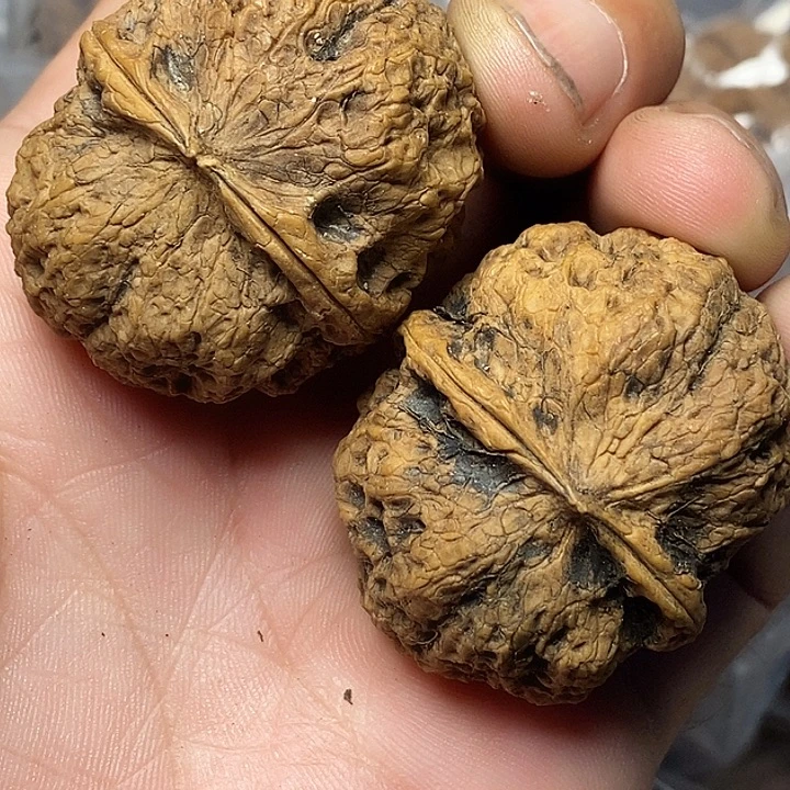 文玩核桃把件云南铁核桃A5