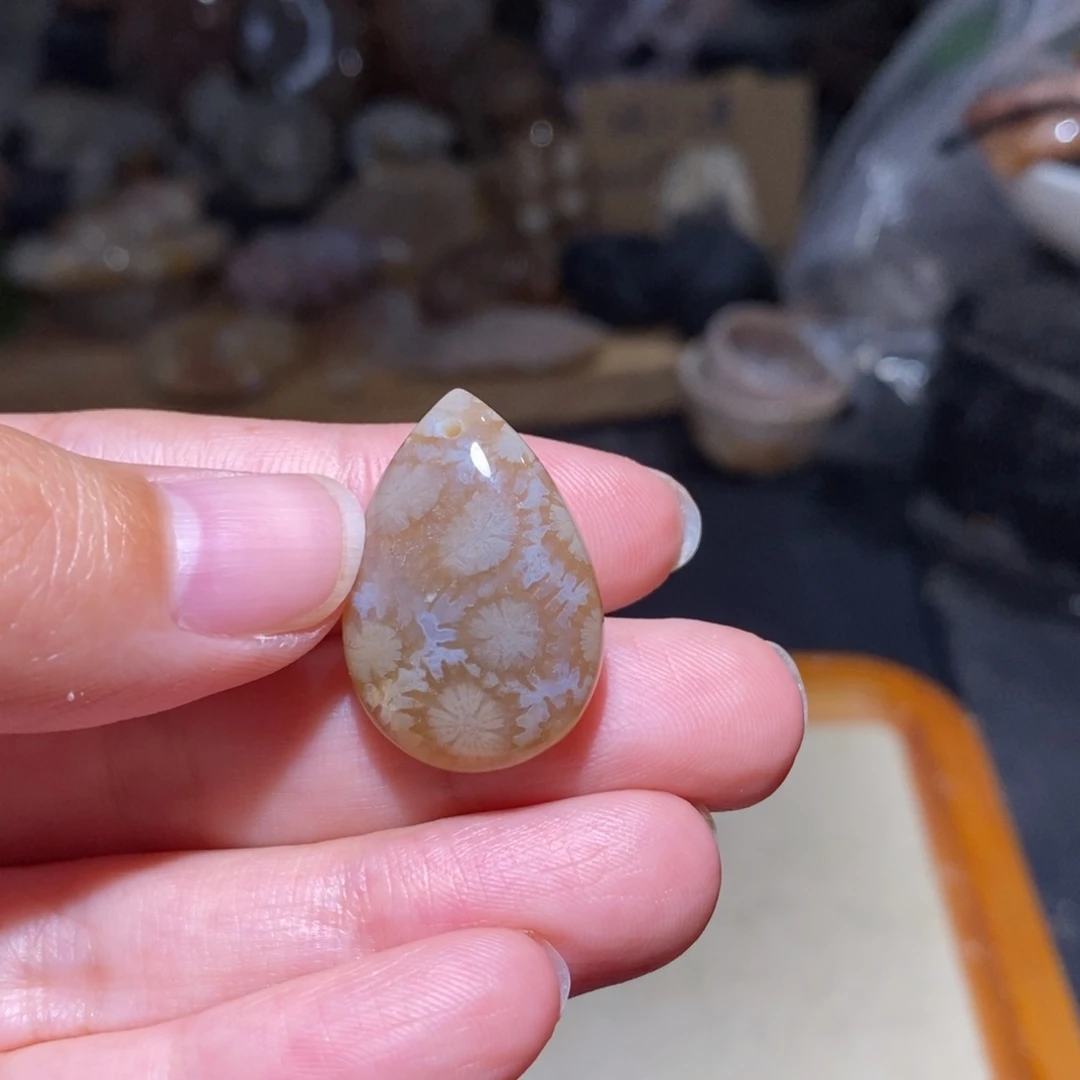 【闪购商品】硅化玉珊瑚玉未镶嵌