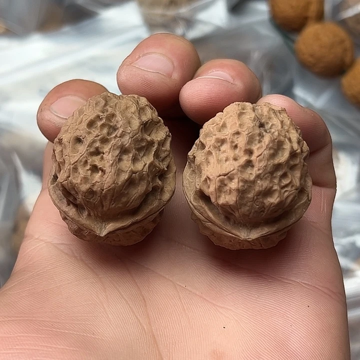 核桃27号牡丹纹元宝38尺