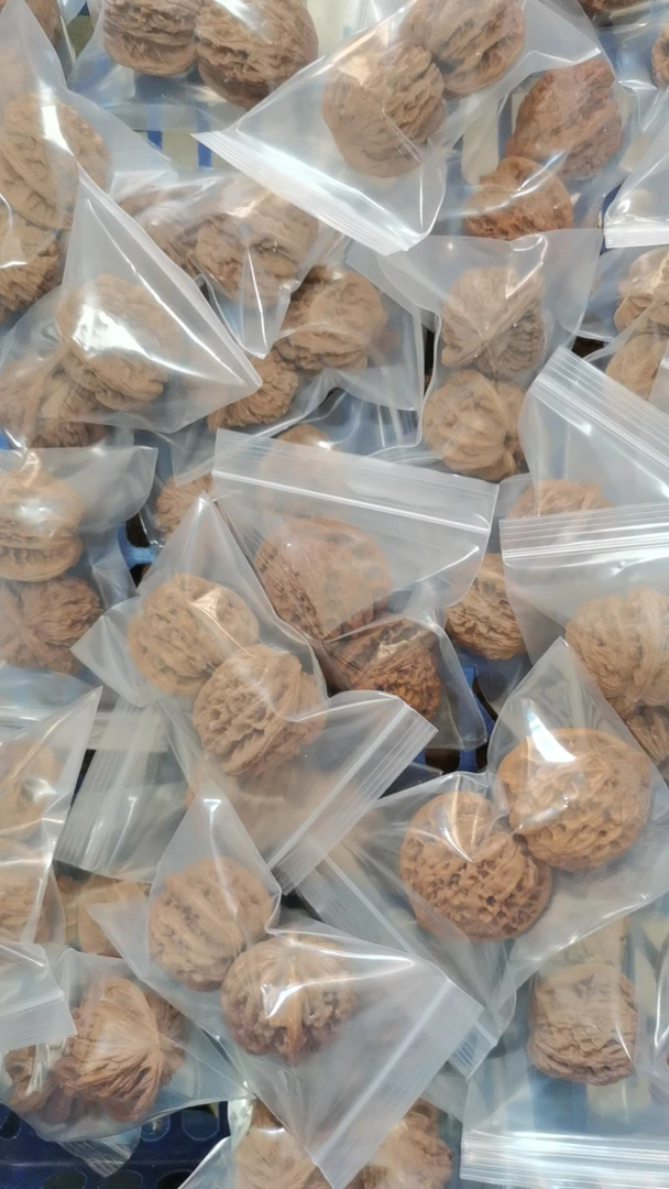 (盲盒）练手对放漏文玩核桃（全品无修）品种随机发货