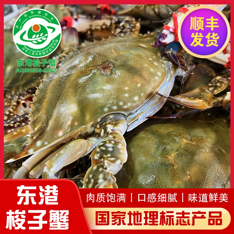 【保鲜不保活】丹东东港老水特大公梭子蟹飞蟹5-7两/只2-3斤装