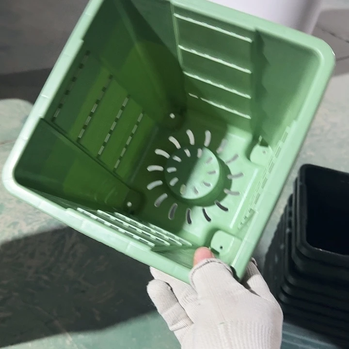 方22口径6个无托浅绿