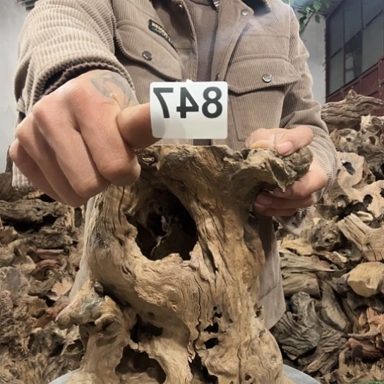 漠**篱紫砂啦啦啦啦啦啦了