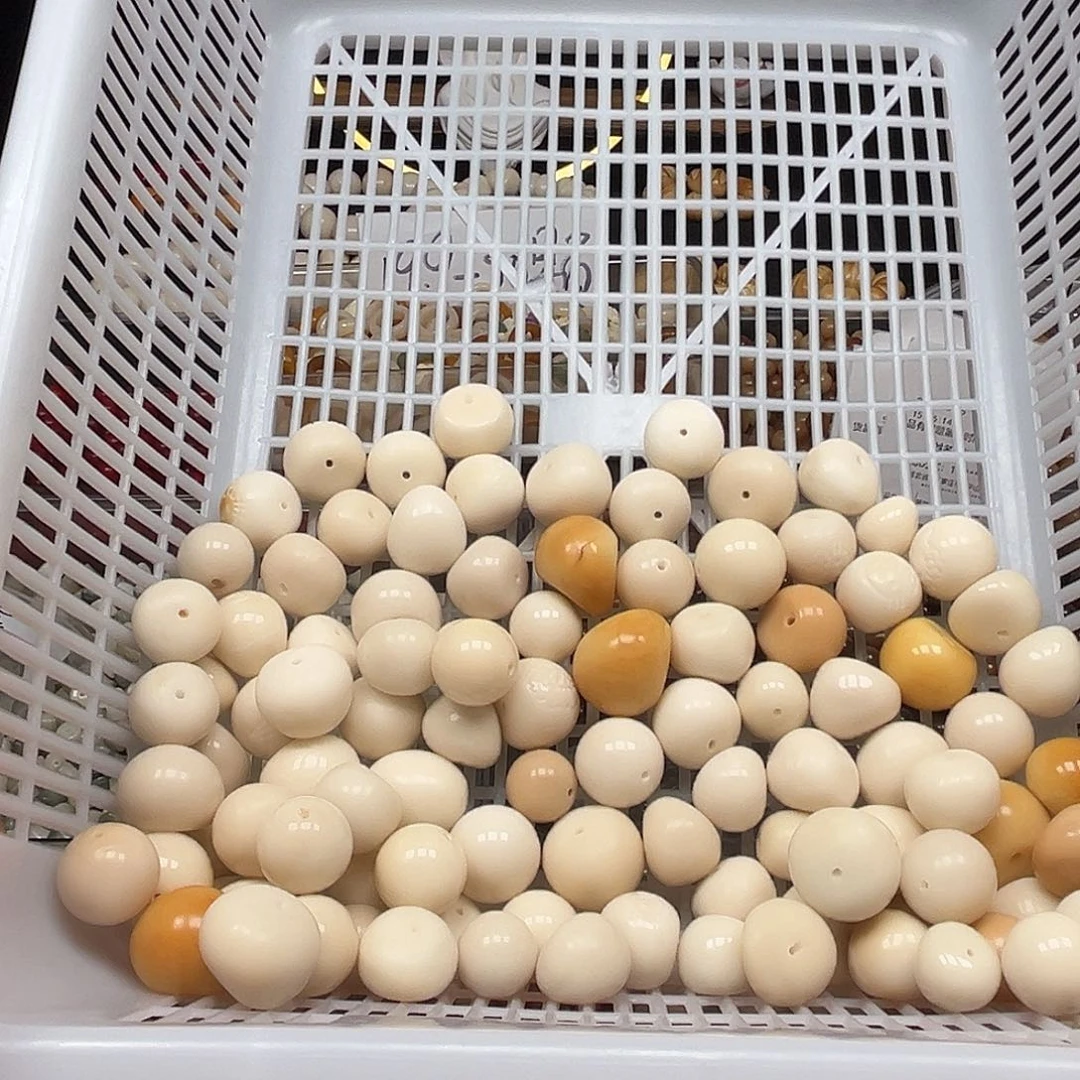 菩提根/象牙果手串瑕疵蒜瓣混装102颗 有裂