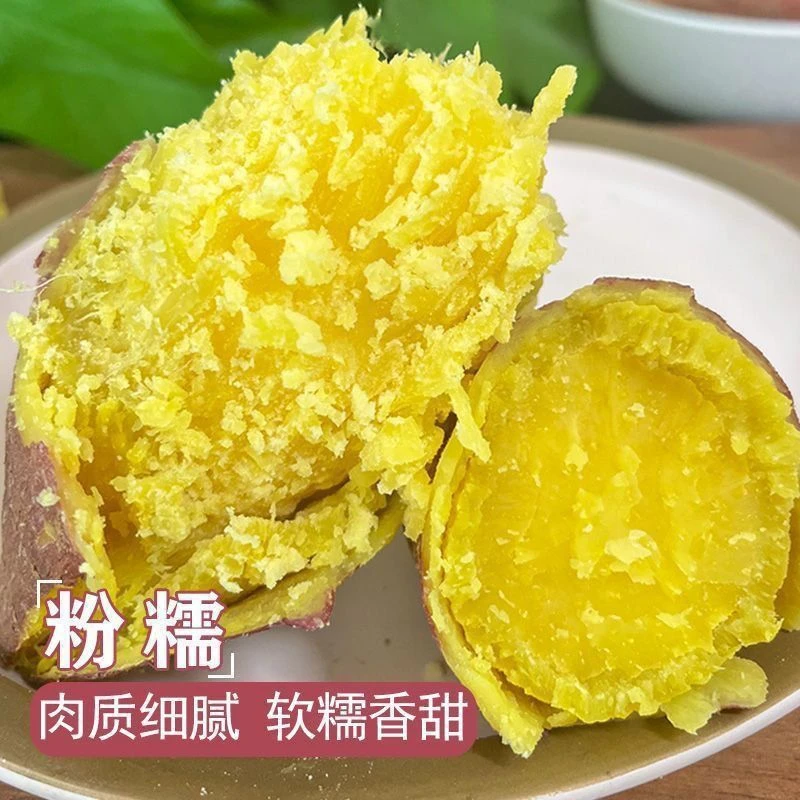 陕西现挖临潼正宗板栗红薯地瓜番薯10斤新鲜沙地黄心蜜薯粉糯甘甜