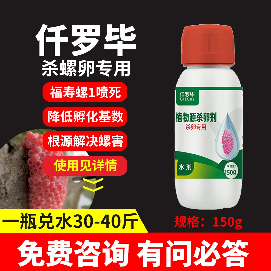仟罗毕植物源杀卵剂全新杀螺卵配方降低福寿螺卵块孵化基数