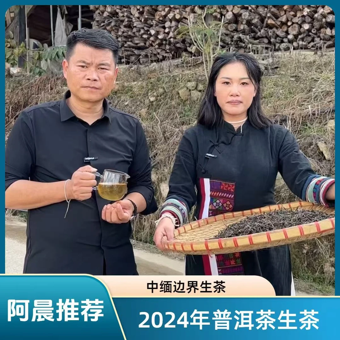 【普洱老家阿晨推荐】2024年中缅边界生茶 普洱茶生茶