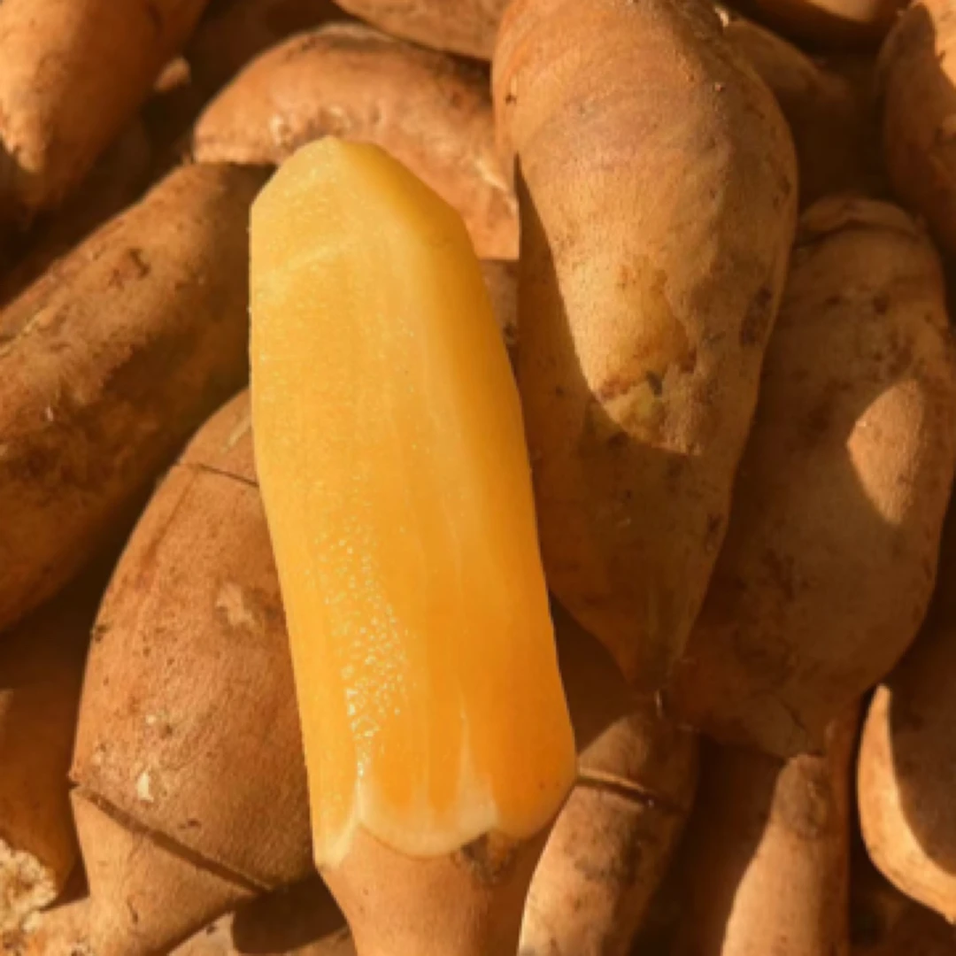 【雪莲果一箱，原箱五斤左右】惊爆价秒杀