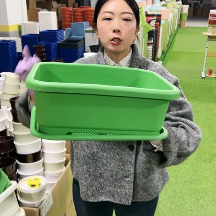 宽体小菜盆长38宽28高15混色3只带托
