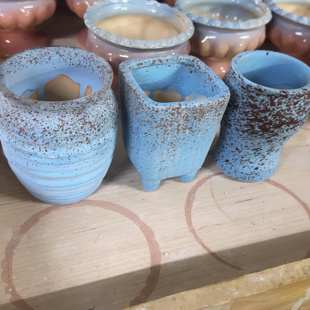 3个福利局绿植多肉盆［凑9元包邮24小时发］