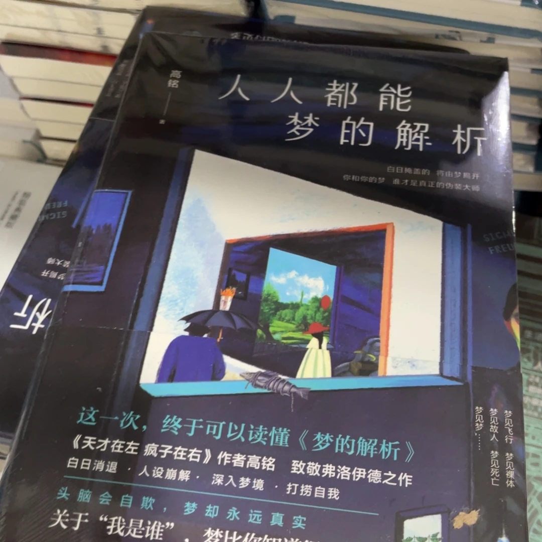 人人都能梦到解析