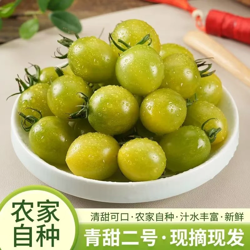 山东小番茄新鲜现摘现发小柿子酸甜多汁水果