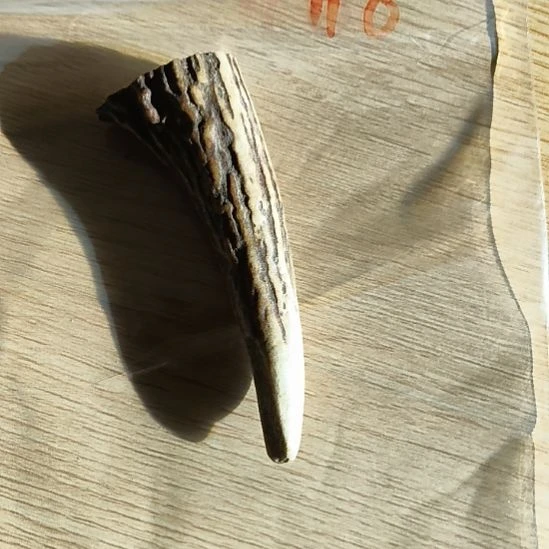 w***s大理石磁石鹿角鹿角鹿角鹿角鹿角鹿角