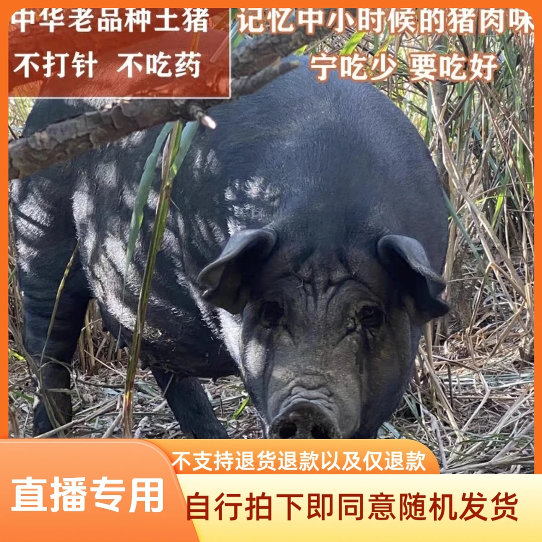 直播间福利，现场改价，一物一拍链接黑猪肉，自行拍下随机发货