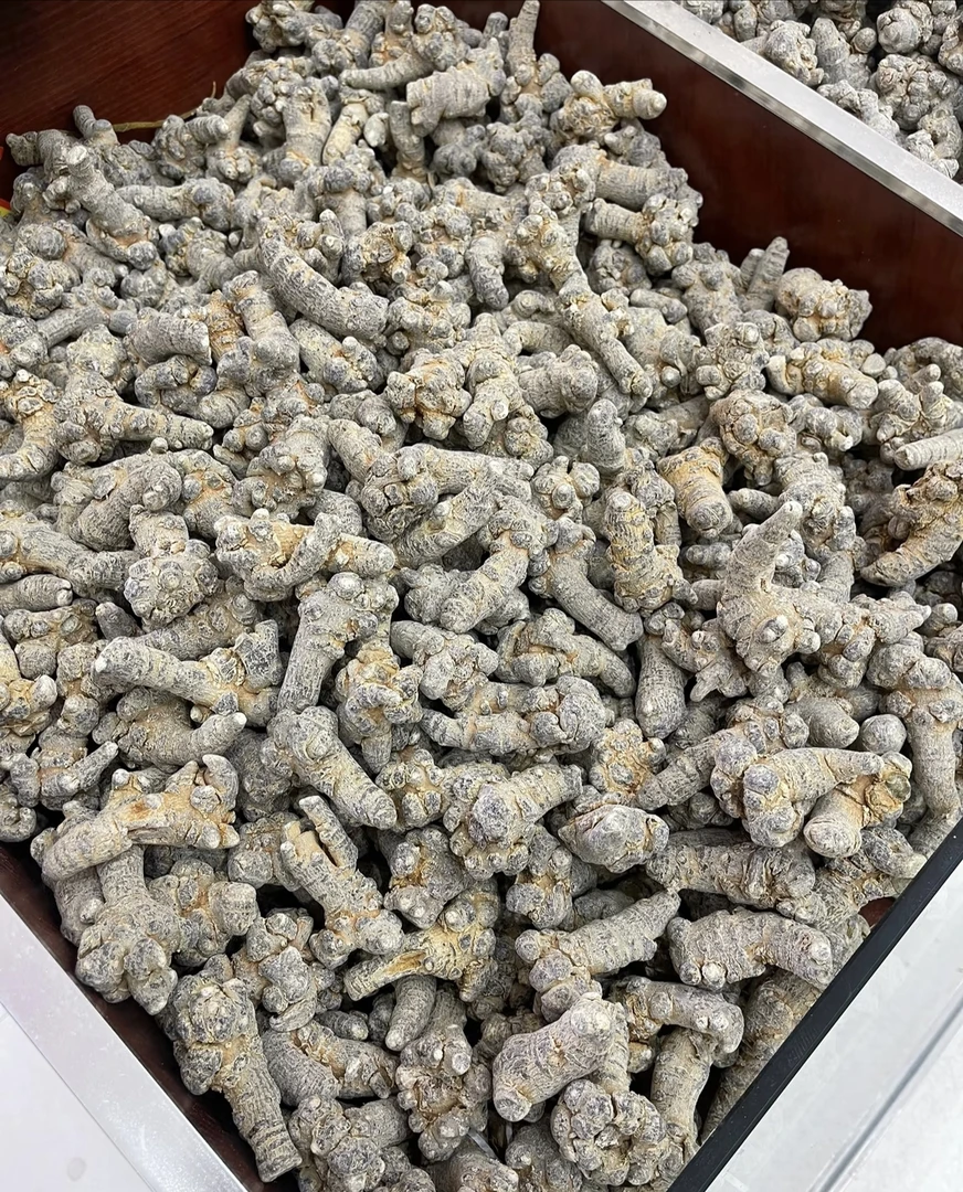 云南特产——盘龙三柒非菇