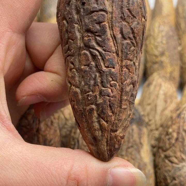 *****千眼菩提吊坠菩提