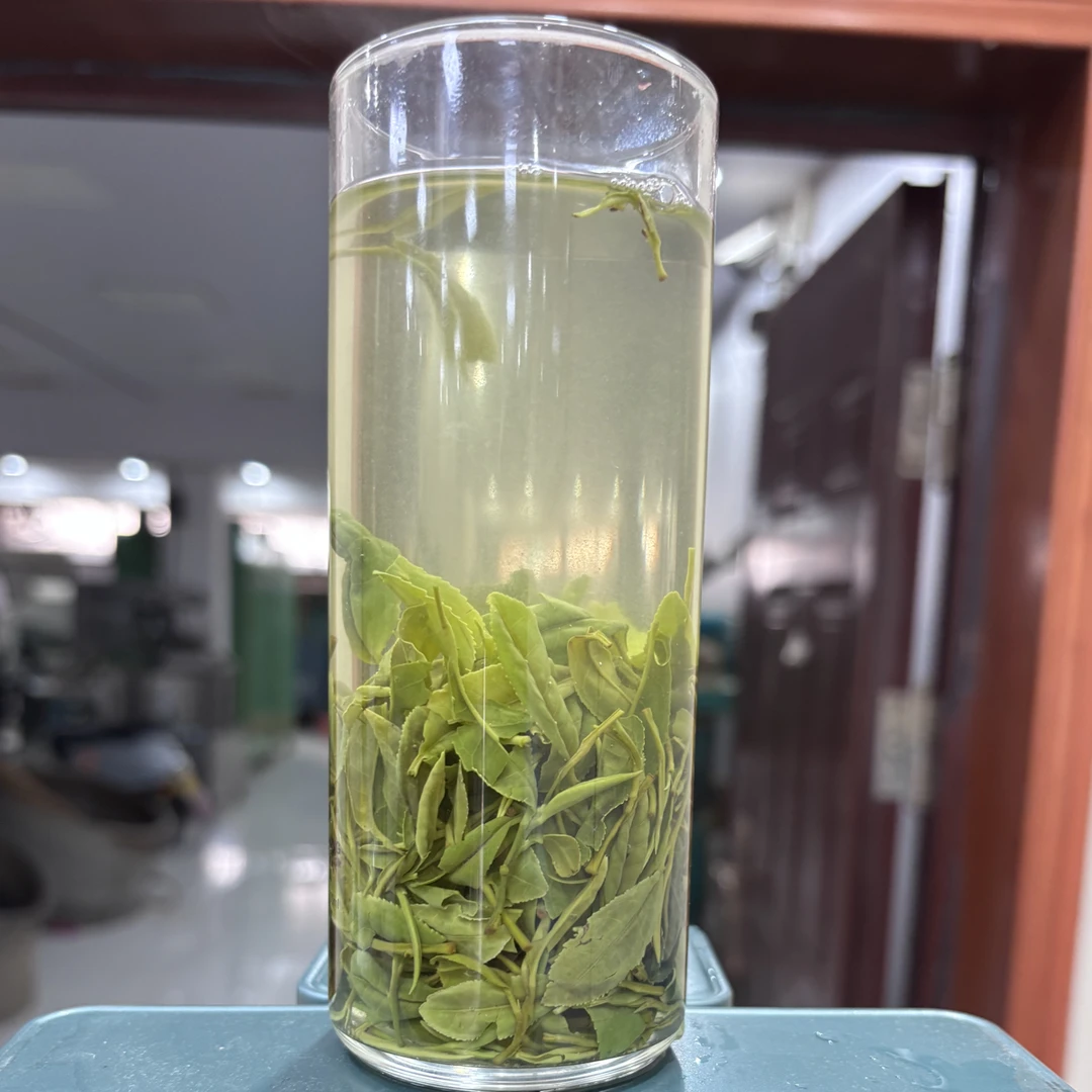 信阳浉河港白龙潭老汉茶花香口粮茶