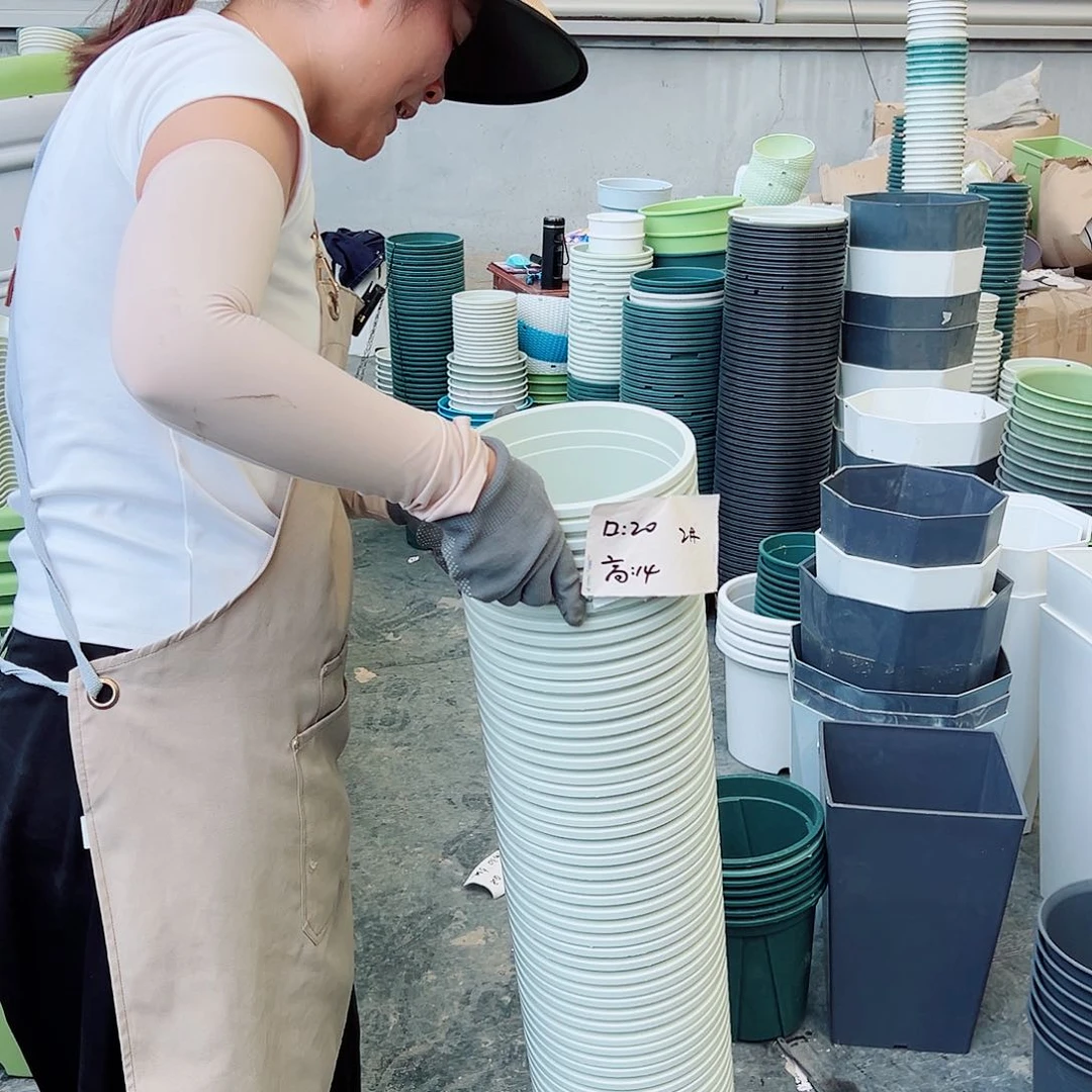 瑕疵矮胖2#米白色10个无托