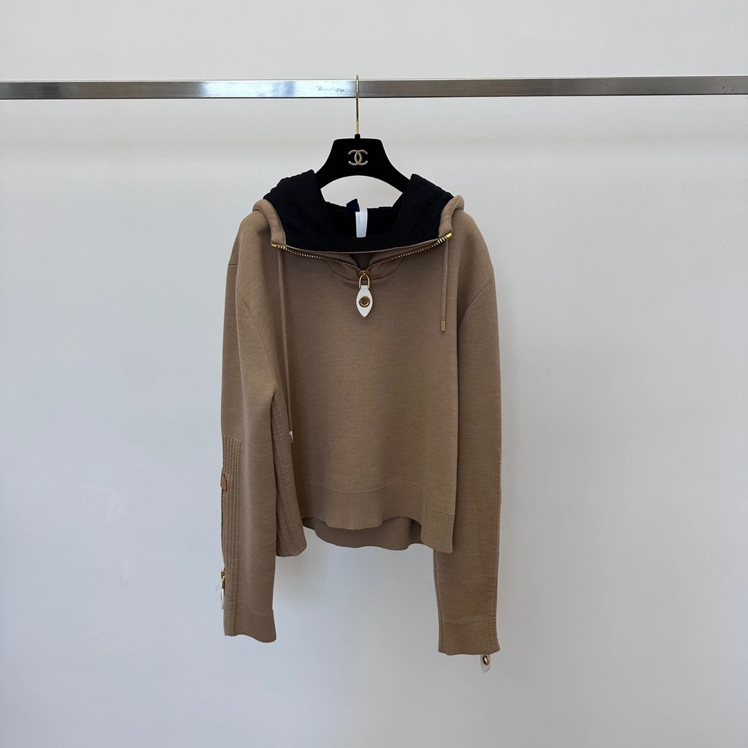 99新 LouisVuitton/路易威登 连帽运动衫02712