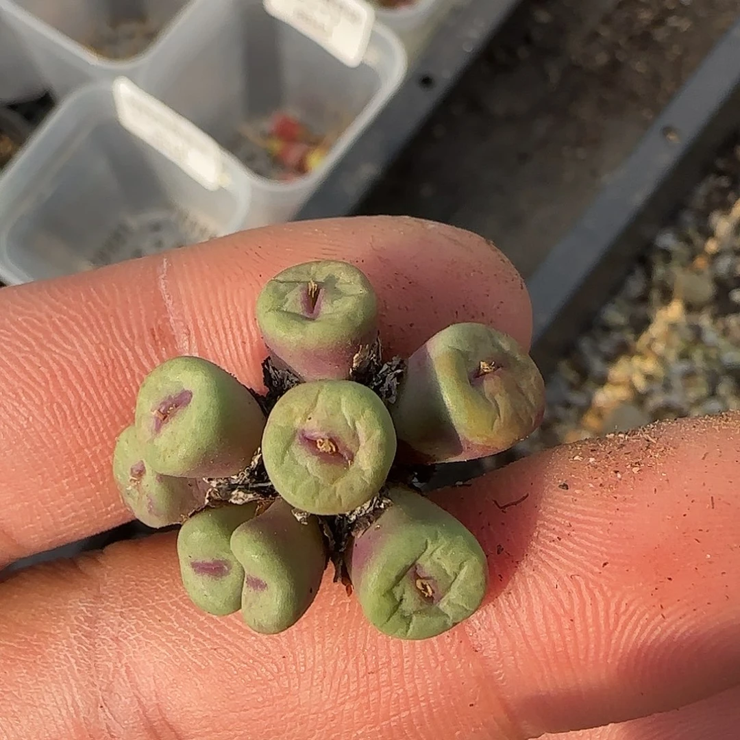 8853。1380b。。。。。。。