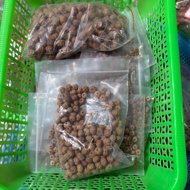 原桩二代平细散籽100颗一单 尺寸随机