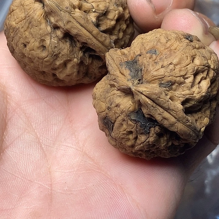 把件文玩核桃云南铁核桃B92