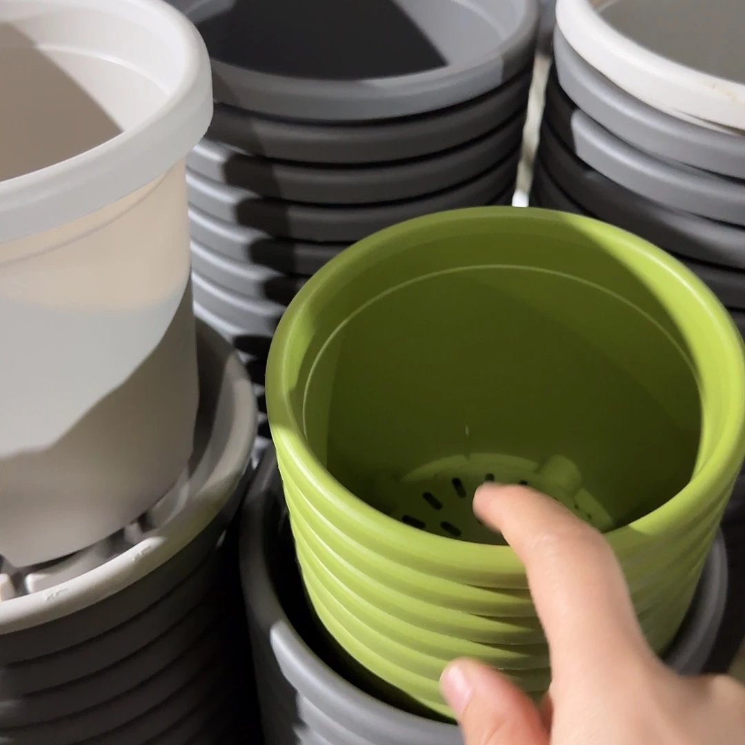 树脂四季1号无托10个果绿