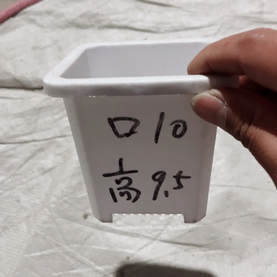塑料升级款景天10方白色盆20个无托