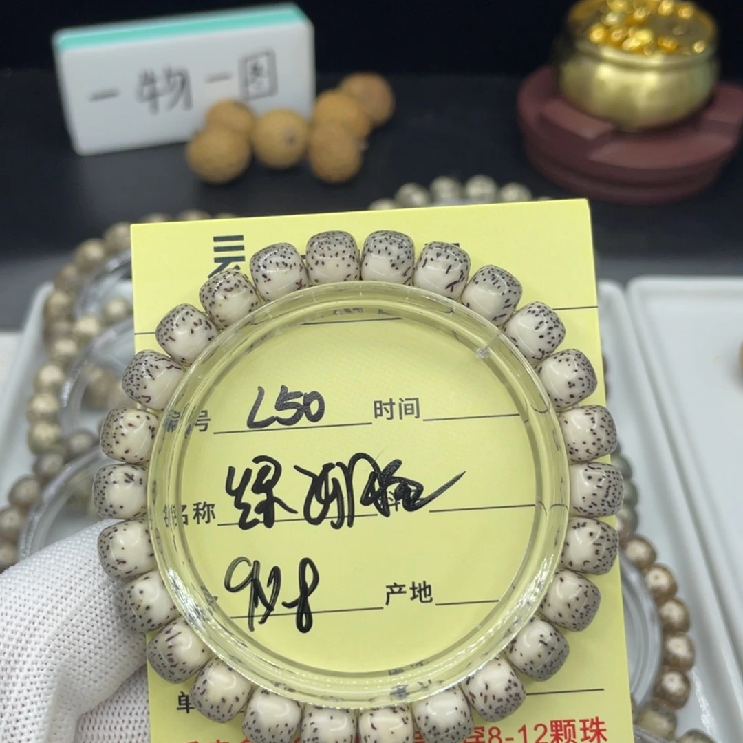 菩提籽类L绿河豚，