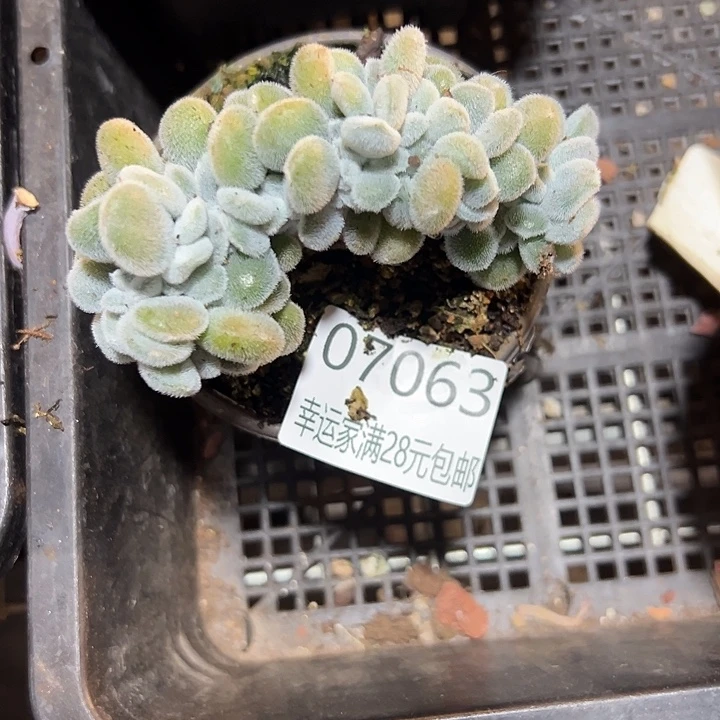 幸运的是我没有遇到过这样