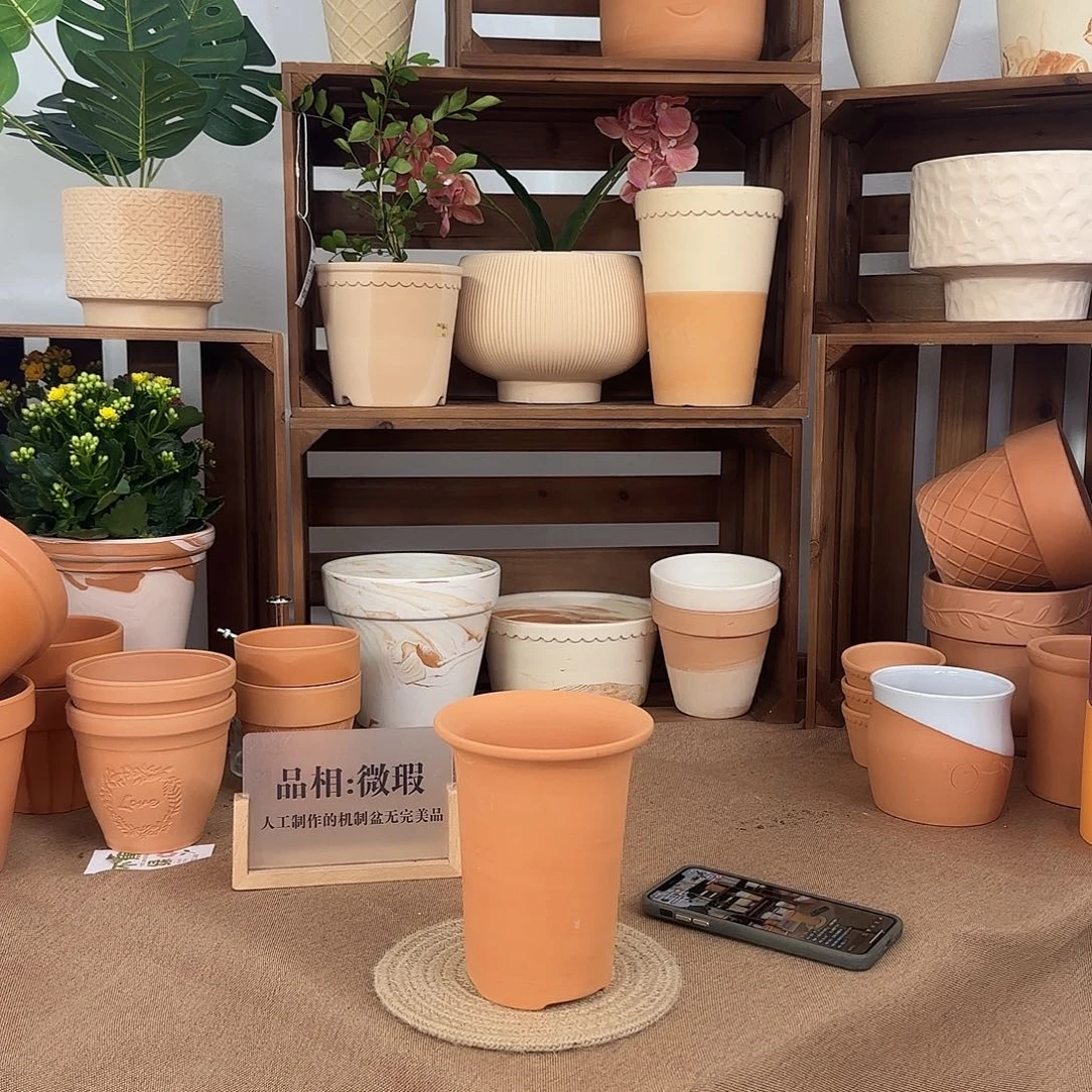 微瑕万象盆观兰12.5口16高