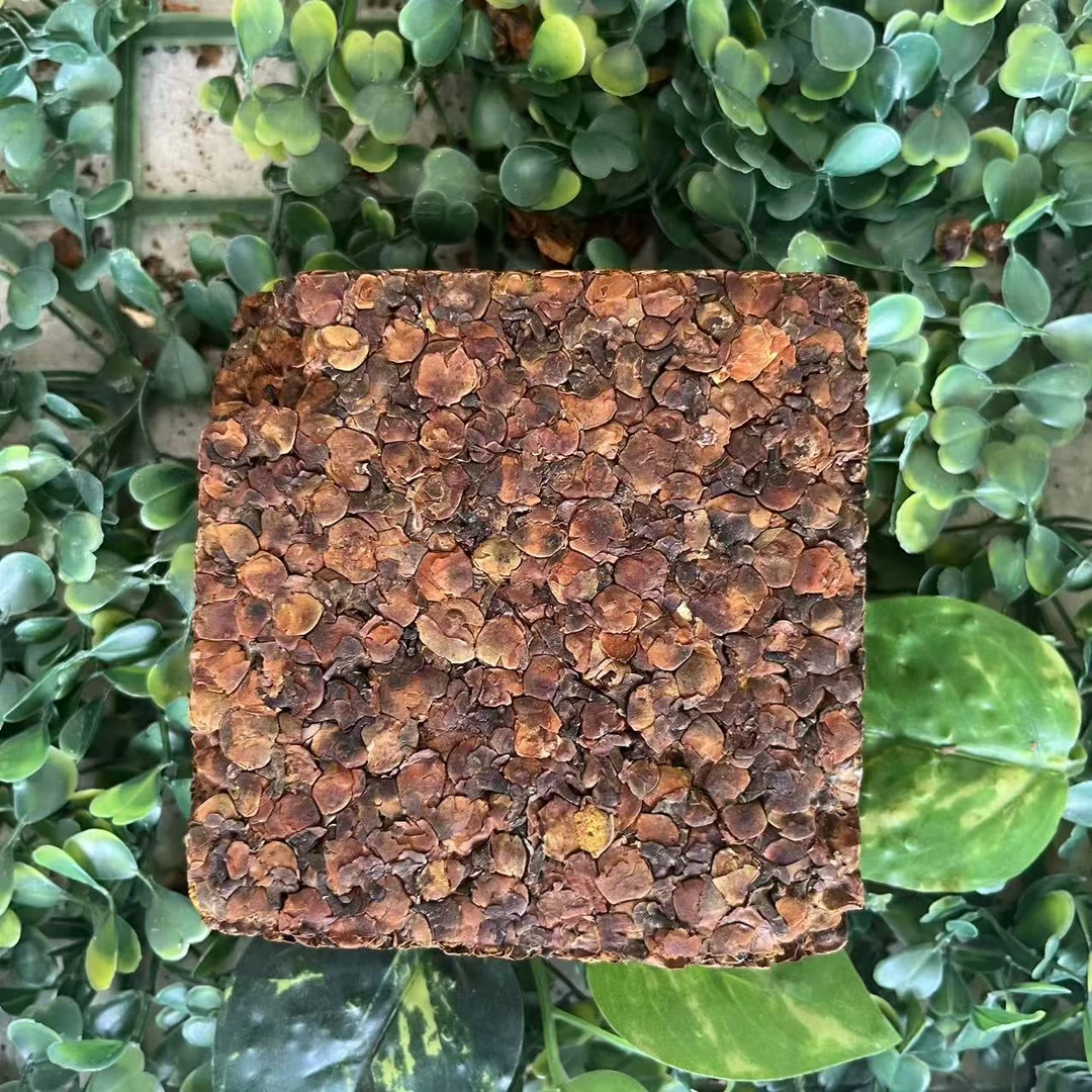 雨腾古茶 神X紫丹原D “入D”紫丹200g/砖（5月10）