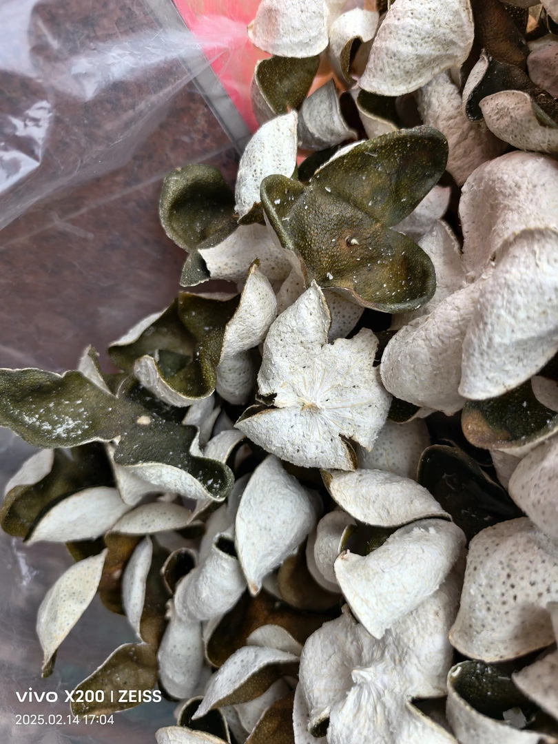 2024年的青皮陈皮（小青，微黄）