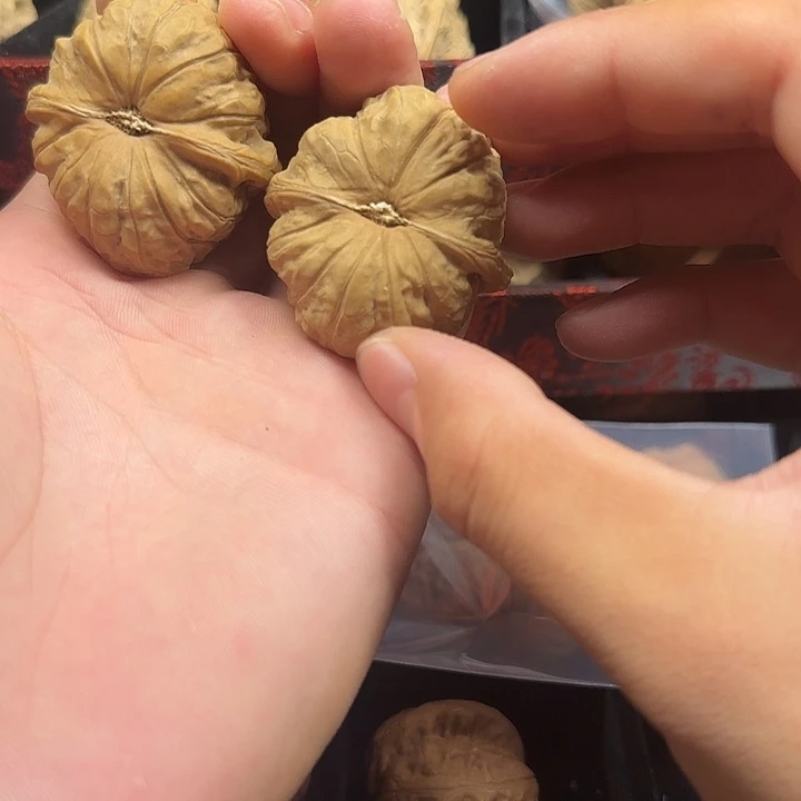 倒***时吊坠龙脊菩提啊啊啊啊啊啊啊啊啊啊啊2