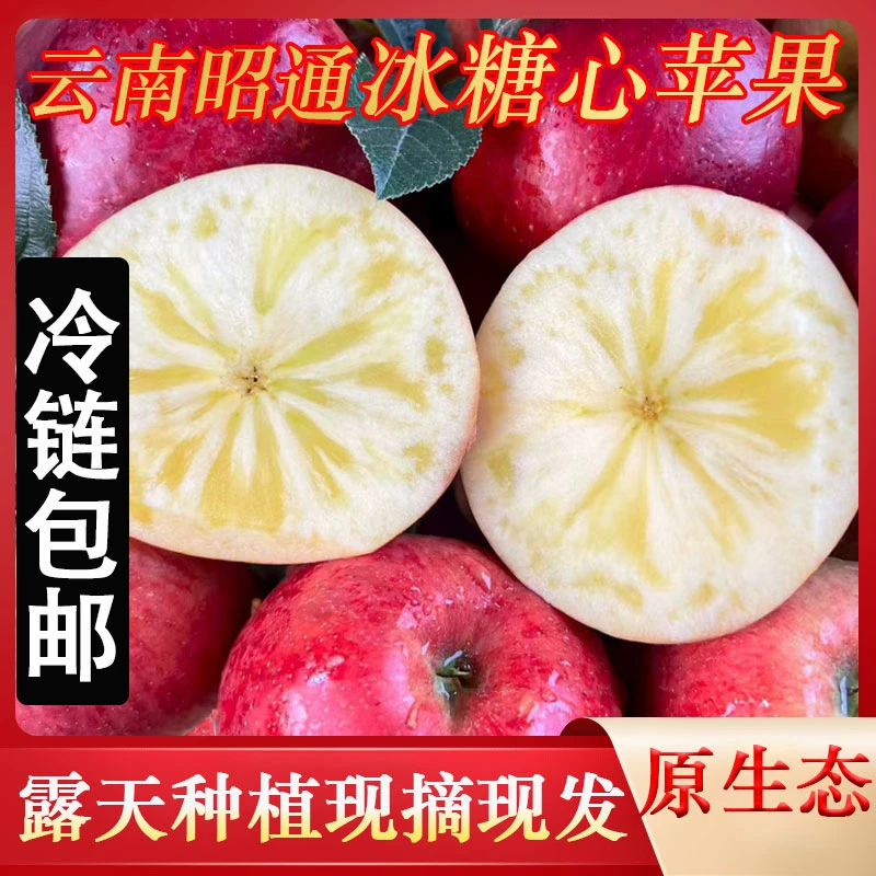 正宗云南昭通丑苹果冰糖心苹果高山苹果露天种植顺丰包邮现摘现发