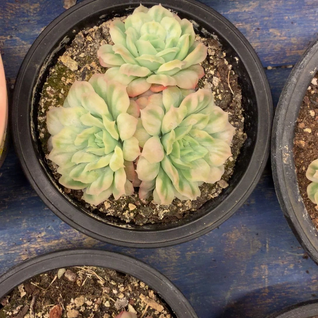 哈哈哈哈哈哈哈哈哈哈